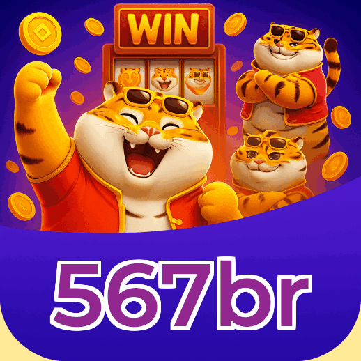 Termos e Condições Transparentes 567br